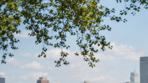 Clase gratuita de bootcamp en un parque frente al agua en Nueva York durante el verano