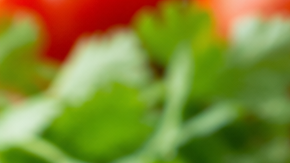 receta de sofrito cómo se hace