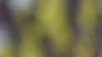 Cristiano Ronaldo pierde otro título con Al Nassr.