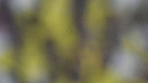 Cristiano Ronaldo pierde otro título con Al Nassr.
