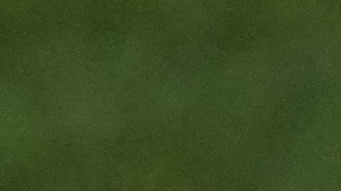Cristiano Ronaldo ha batido un nuevo récord con una tarjeta coleccionable que se vendió por 1,35 millones de dólares.