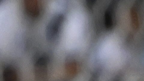 Diego Luna ha sido excluido de la convocatoria de Estados Unidos para el Mundial de 2026.