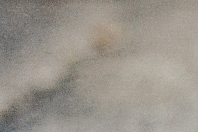 Las personas pueden contraer hantavirus al inhalar partículas provenientes de orina, saliva o excrementos de las ratas y otros roedores.