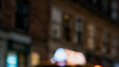 ratas de Nueva York en las calles