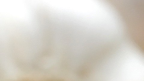 Textura irresistible y gratinado perfecto: esta lasaña sustituye la pasta por capas de huevo, convirtiéndola en una opción ideal para quienes buscan una cena baja en carbohidratos.