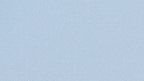 FIFA y su prohibición de la bandera iraní del León y el Sol.