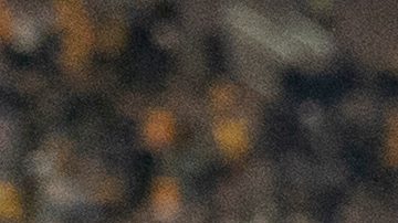 El corredor de Missouri, Ahmad Hardy (izquierda), recibe felicitaciones después de que su equipo derrotara a Mississippi State en un partido de fútbol americano universitario de la NCAA el 15 de noviembre de 2025 en Columbia, Missouri.