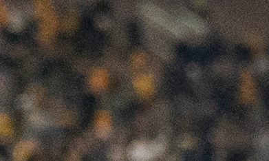 El corredor de Missouri, Ahmad Hardy (izquierda), recibe felicitaciones después de que su equipo derrotara a Mississippi State en un partido de fútbol americano universitario de la NCAA el 15 de noviembre de 2025 en Columbia, Missouri.