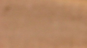 El moho son hongos microscópicos que pueden expandirse mucho más allá de la superficie o corteza del pan, contaminando zonas que lucen normales.