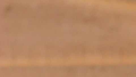 El moho son hongos microscópicos que pueden expandirse mucho más allá de la superficie o corteza del pan, contaminando zonas que lucen normales.