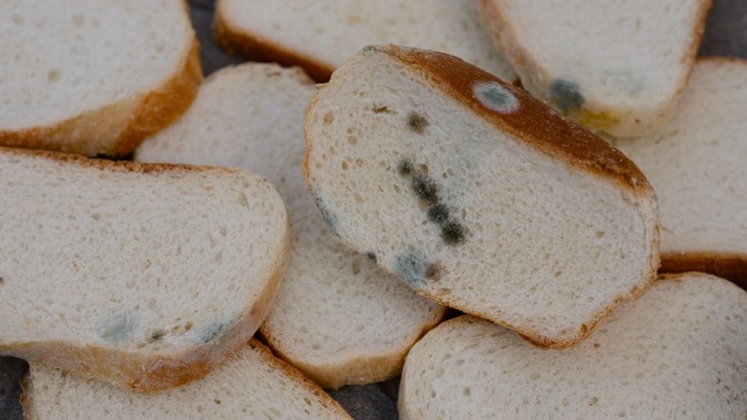Un pan que tiene manchas de moho, por muy pequeñas que sean, debe ser desechado de inmediato.