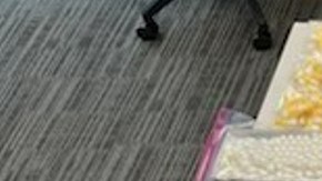 Parte de la droga y armas decomisadas en un apartamento de lujo en El Bronx (NYC).