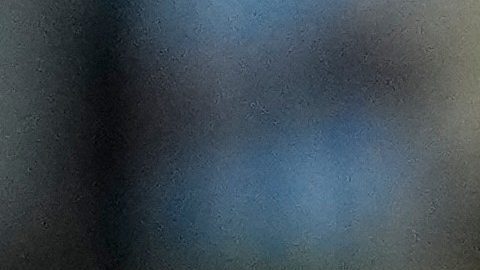 Lionel Scaloni habló de la lesión de Messi.