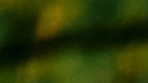 Young,Happy,Sportswoman,Running,On,The,Road,In,Nature.,Copy
