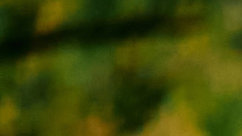 Young,Happy,Sportswoman,Running,On,The,Road,In,Nature.,Copy