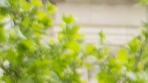 La fase de votación comenzó el 6 de mayo y se extenderá hasta el 21 de junio, con opciones tanto en línea como presenciales en bibliotecas, centros comunitarios y negocios locales en toda la ciudad