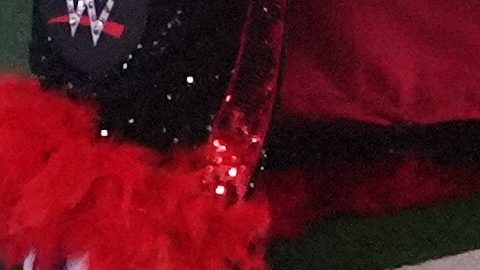 Estrella de WWE en problemas legales.