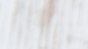 Panes de avena sobre un plato.