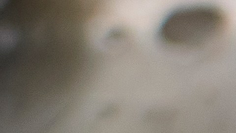 ¿Sabías que el vinagre no es suficiente para desinfectar? La seguridad alimentaria empieza por las herramientas que usas cada día. Descubre por qué el cloro y el microondas son tus mejores aliados contra las bacterias.