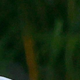 Castro no participó en ninguno de los actos de repudio convocados a lo largo del país por más de una semana para denunciar su imputación en EE.UU.