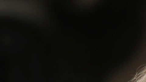 El presidente Trump enfrenta críticas de votantes latinos.