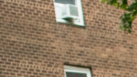 En 2021, miles de personas salieron a las calles en EE.UU. a celebrar la creación de Juneteenth como día nacional.