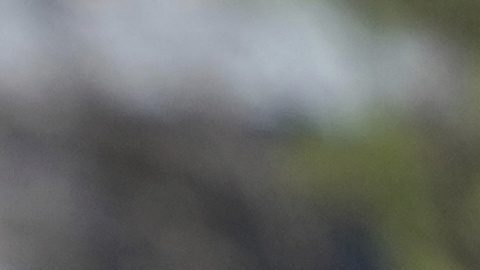 Baraka agregó que se levantaría el cordón de seguridad cerca de las instalaciones y que los manifestantes podrían volver a reunirse directamente frente al Delaney Hall.