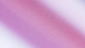 Morris forma parte del movimiento MAGA.