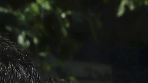 El ayatolá guarda un perfil bastante reservado, no ha aparecido en público y solo traslada mensajes por escrito.