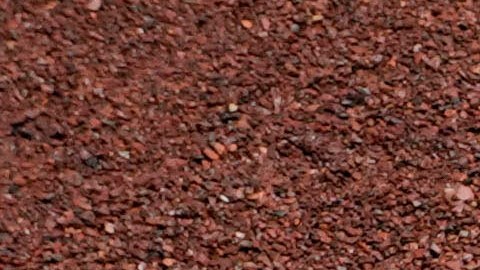 Grandes Ligas pide minuto de silencio por terremoto en Venezuela.