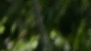 Un policía estatal permanece estacionado en la entrada del centro de detención de inmigrantes "Alligator Alcatraz" en los Everglades de Florida, el martes 26 de mayo de 2026, en Ochopee, Florida.