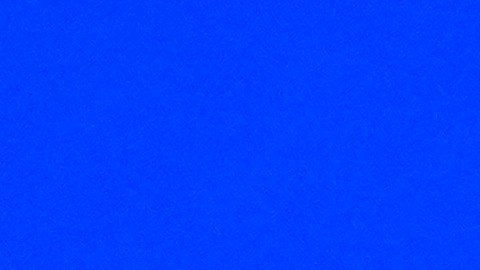 Los Knicks están de regreso a las Fianles de NBA desde 1999.