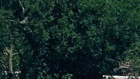 Los trabajadores continúan construyendo el escenario para una futura pelea de la UFC en el jardín sur de la Casa Blanca en Washington, el domingo 7 de junio de 2026.