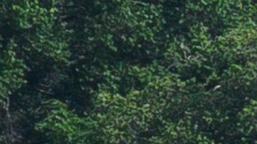 Obreros continúan construyendo el escenario para una futura pelea de UFC en el jardín sur de la Casa Blanca en Washington.