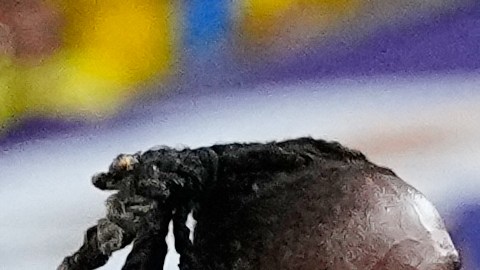 Moises Caicedo (23) y Christ Inao Oulai discuten durante un momento del Ecuador - Costa de Marfil jugado en el Philadelphia Stadium.