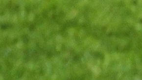 Futbolista canadiense Ismael Koné se destroza la pierna en duelo ante Qatar del Mundial 2026