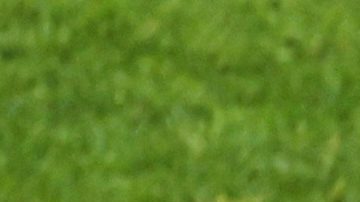 Futbolista canadiense Ismael Koné se destroza la pierna en duelo ante Qatar del Mundial 2026