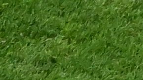 Messi se convirtió en el jugador con más penales fallados en Copas del Mundo