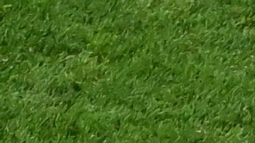 Messi se convirtió en el jugador con más penales fallados en Copas del Mundo