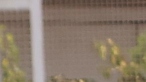 Alertan que el volumen de vulnerabilidad en los ciudadanos afectados va en aumento.