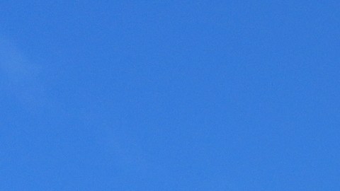 La Corte Suprema ratificó leyes estatales sobre atletas transgéneros.