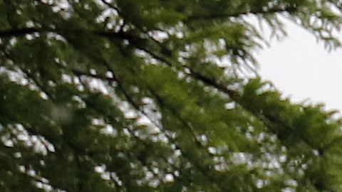 AccuWeather emitió pronósticos advirtiendo sobre vientos fuertes con días de antelación, y NWS emitió una alerta de tormenta eléctrica severa.