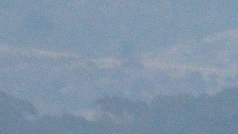 Ballena