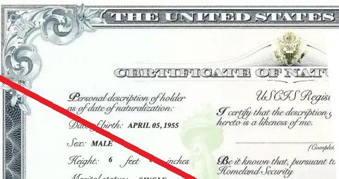 Democracy Forward presentó una demanda sobre el plan de desnaturalización de Trump.
