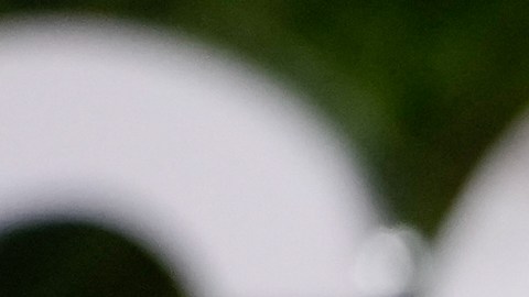 David Harbour también pidió que respeten su vida privada.