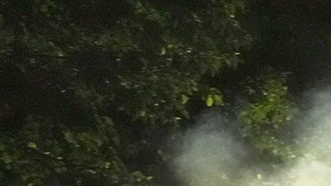 Detenido hombre de Brooklyn que amenazó de muerte a agente de ICE en Delaney Hall