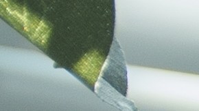 Microscopio Rayos X