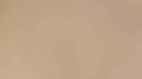 Una cáscara firme y de tono mate indica que la fruta está lista; evita las que tengan zonas blandas o brillo excesivo.