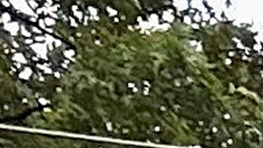 Alcantarillado NY