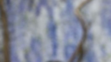 La también directora aseguró que conserva buenos recuerdos de ambas etapas de su vida personal